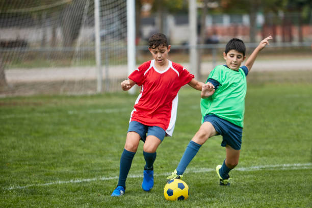 在这篇文章 在这篇文章